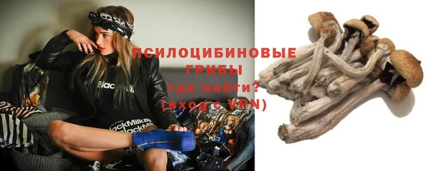 ECSTASY Горнозаводск