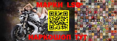 прущие грибы Партизанск