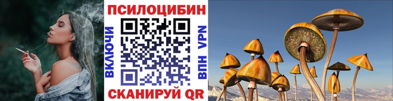 где можно купить наркотик  Моршанск  Галлюциногенные грибы Magic Shrooms 
