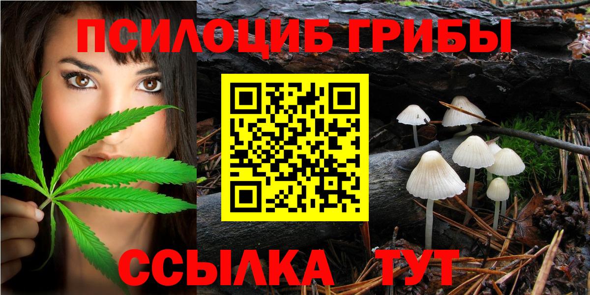 Галлюциногенные грибы Magic Shrooms  Вход с VPN  Галлюциногенные грибы мухоморы  Моршанск 