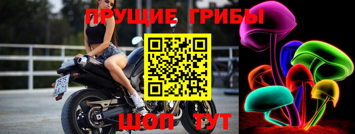 Галлюциногенные грибы Psilocybine cubensis Моршанск