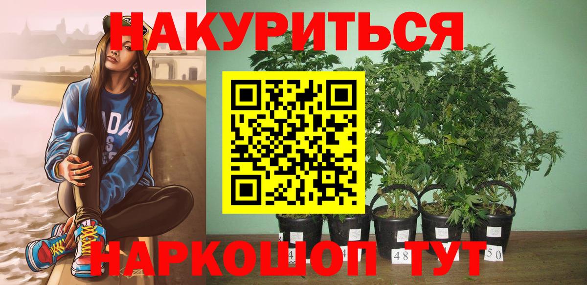 Конопля гибрид  Вход с VPN  Марихуана MAZAR  МАРИХУАНА сатива  Бошки Шишки план  Моршанск 