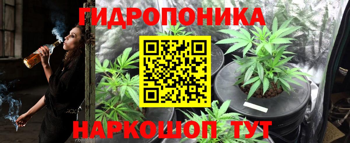 Бошки Шишки Ganja  Шишки марихуана индика  Моршанск  Конопля THC 21%  МАРИХУАНА LSD WEED 